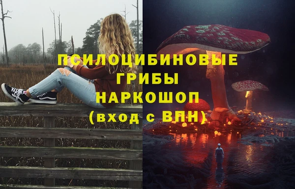 тгк Пролетарск