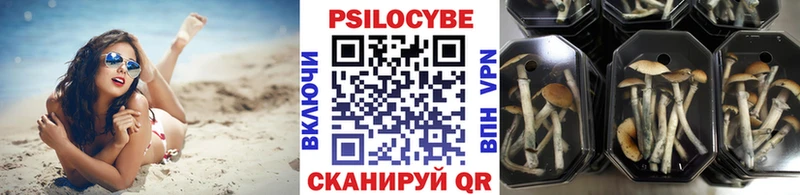 гидра как войти  где найти   Владикавказ  Галлюциногенные грибы прущие грибы 