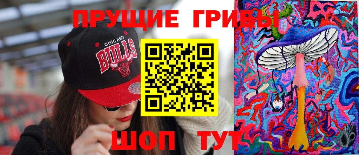 Псилоцибиновые грибы Cubensis Владикавказ