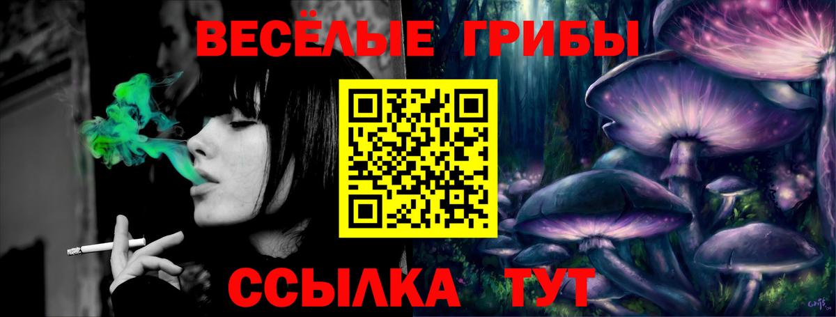 Псилоцибиновые грибы Psilocybe  Галлюциногенные грибы ЛСД  Вход с VPN  Владикавказ 