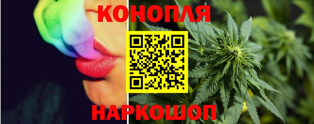 Конопля гибрид  Владикавказ  Конопля OG Kush 
